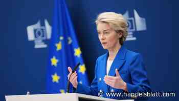 US-Zölle : Von der Leyen erwägt im Zollstreit Abgaben für US-Techfirmen