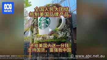 'Don't give them a cent': Chinese netizens boycott US goods in trade war