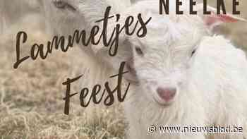 Veel jonge diertjes te bezoeken tijdens Lammetjesfeest op paasmaandag bij Ferme Neelke
