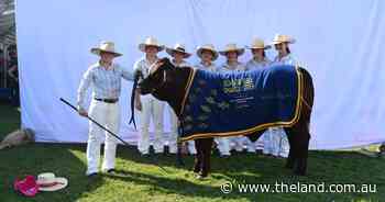 Vital funds raised for Victor Chang at Sydney Royal charity auction