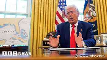 Watch: Was Trump's 90-day tariffs pause really a grand plan?