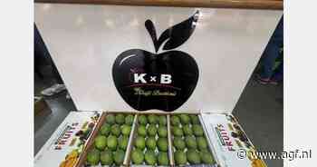 "Weer verlaagt Indiase mango-oogst"