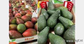 "Markt voor avocado's, mango's en limes start voorzichtig op na Ramadan"