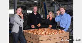 Solema: van 300 kilo naar 30 ton verwerkte uien per dag