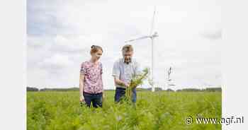 "Biologische rode bieten zijn ons sterkst groeiende product"