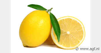 Turkije heft tijdelijk verbod op citroenexport op na hoger beroep van telers