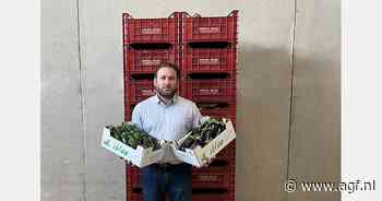 "Dankzij de zeelucht krijgen onze groenten hun volle smaak"