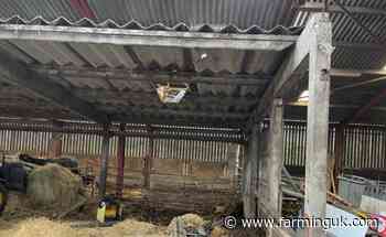 Builder sentenced after labourer seriously injured in 13ft barn roof fall