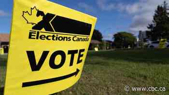 Return of on-campus early voting spurs hopes more ballots will be cast by young adults