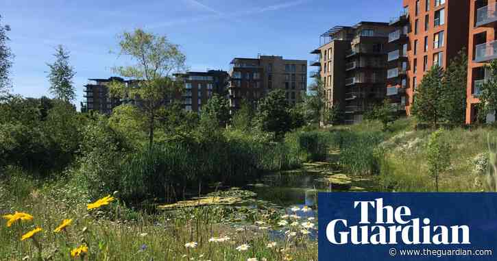 ‘People love being here’: London development shows harmony between nature and housing