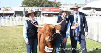 Highland takes out best exhibit for the first time in Sydney Royal Show memory