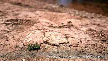 70 Prozent weniger Regen als üblich: So trocken ist es im Kreis Calw – diese Folgen drohen jetzt