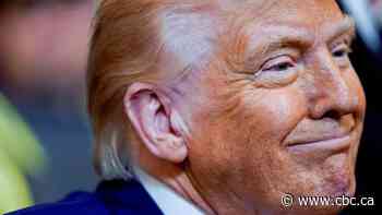 Global tariffs gave Canada unexpected advantage. How Trump's pause narrows Windsor's silver lining