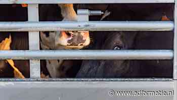 PR-bureau leidde beschadigingscampagne tegen baanbrekend klimaat-voedingsrapport