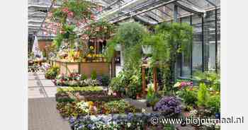"Inheemse en biologische planten in tuinen cruciaal voor insecten en ecosysteem"