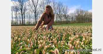 "Wij willen op een creatieve en positieve manier met elkaar aan de slag"