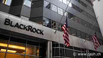 BlackRock verwaltet mehr Vermögen denn je - Gewinn sinkt leicht