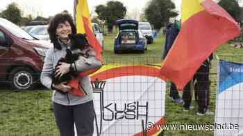 Martine en haar hond zijn Belgisch Kampioen agility: “Ik geniet van de bijzondere band met Kila”