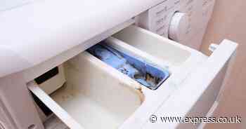 Remove mould from washing machine drawers in 20 minutes with cleaner’s ‘cheapest’ method