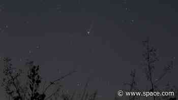 What to expect from the newfound Comet Swan: An observer's guide