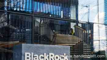 Vermögensverwalter: Blackrock verwaltet mehr Vermögen denn je