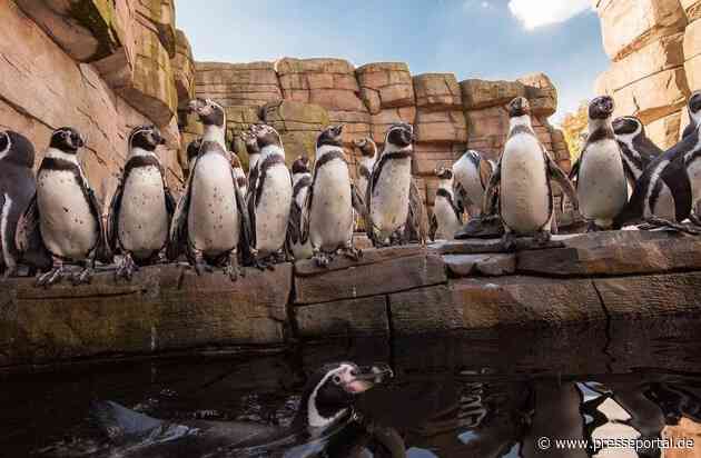 Koalitionsvertrag stärkt Zoos / Zooverband begrüßt politische Unterstützungszusage