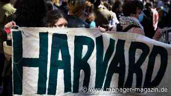 Wie Trump das Geschäftsmodell der Eliteunis zerstört