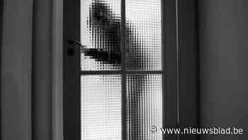 Dieven breken in bij bedrijf op Rijksweg in Puurs-Sint-Amands en gaan aan de haal met werkmateriaal