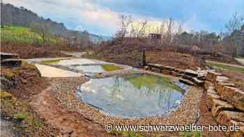 Biotop in Althengstett: Einsatz gilt vor  allem der Gelbbauchunke