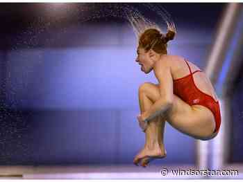 'Mini-Olympics': Elite athletes from 23 countries descend on Windsor for 2025 Diving World Cup