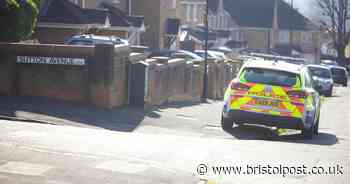 XL Bully destroyed after woman brutally attacked in Bristol