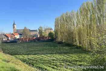 Kumtichcomité tevreden met negatief advies dat stad geeft voor woonproject Maalderijweg