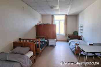 Huisdieren niet toegelaten in collectieve opvang van Oekraïners: “Dat lijkt ons redelijk”