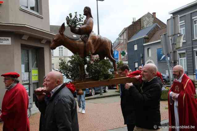 Palmezelbeeld trekt zondag opnieuw door Tiense straten