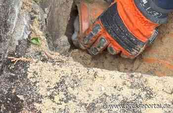 FW-DT: Katze auf Abwegen