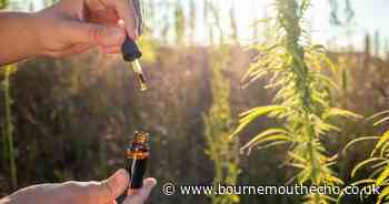 Can CBD cure cancer or other illnesses? Health experts explain the pros and cons