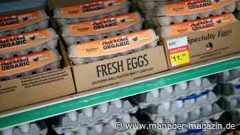 USA: Preise für Eier steigen kurz vor Ostern auf Rekordhoch