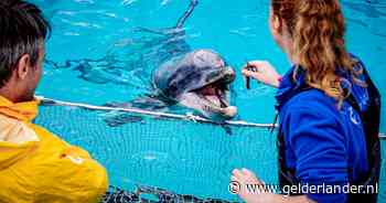 Dolfinarium past dierenshows aan na dreiging boetes