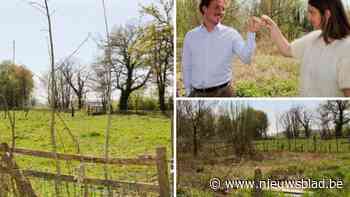 Nieuw park in de maak in Koningshooikt: stadsbestuur koopt terrein van ruim 11.500 m²