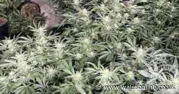 A house in the middle of a farm off the M4 was hiding a big secret