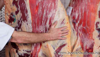 Fuite stopt in Epe met het uitbenen van runderen