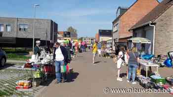 Grotere rommelmarkt en twee keer straatfeesten: café Oxford en buurtbewoners drijven feestbarometer op in Hemiksem