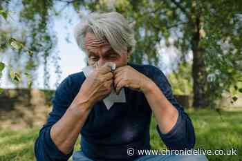 UK drivers issued 'pollen bomb' alert as 68% say hay fever hinders driving