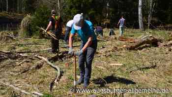Baumpflanzaktion von LENA und BN Ortsgruppe Landsberg