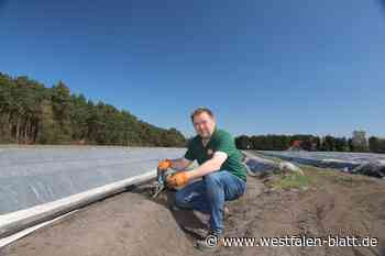 Spargelhof Aschof:  Preise bleiben stabil