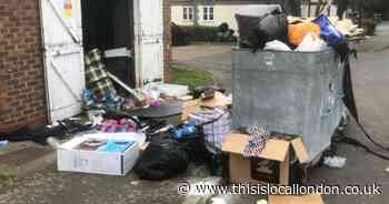 'Fly-tipping in street was serious health hazard'
