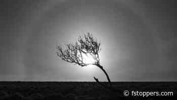 Simplify Your Scenes for Stronger Photos