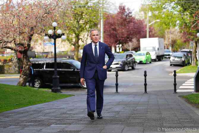 Carney warns of signs that global economies are slowing amid Trump’s tariffs