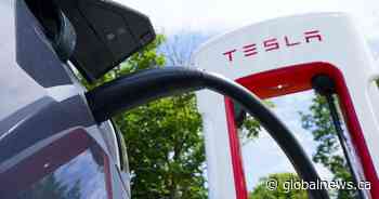 In response to U.S. tariffs, New Brunswick looking at selling government-owned Teslas