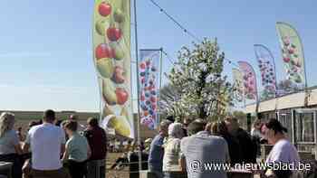 Sint-Truiden wil geen langdurige subsidies meer voor pop-ups: “Speelveld gelijk maken”